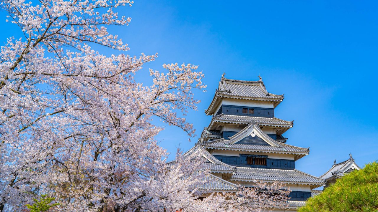 長野県　松本城　春